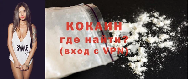 шишки Саяногорск