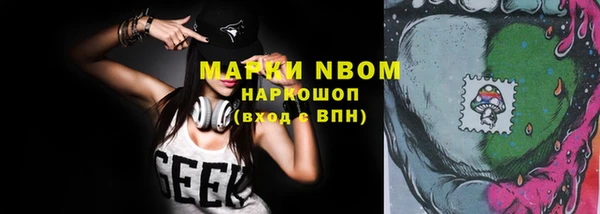 шишки Саяногорск