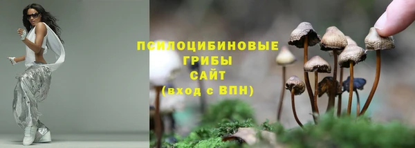 a pvp Сафоново