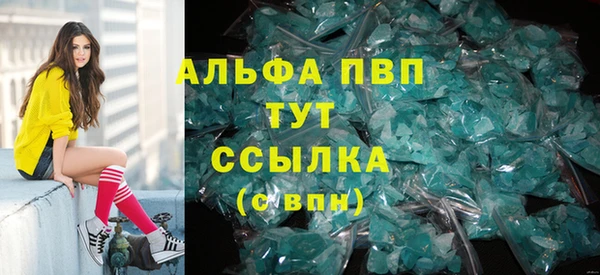 шишки Саяногорск