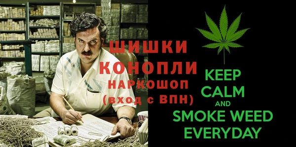 шишки Саяногорск